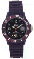 Buy Unisex Ice Watches SW.GE.U.S.11 Watches online